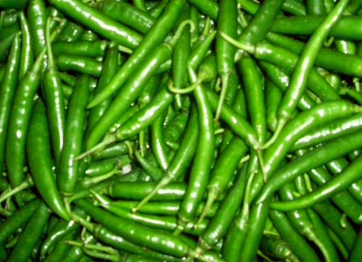 हरी मिर्च