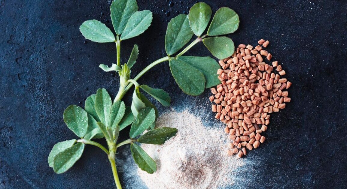 fenugreek