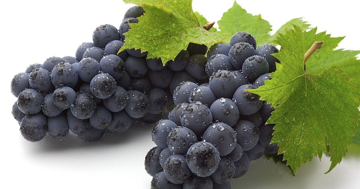 black grapes