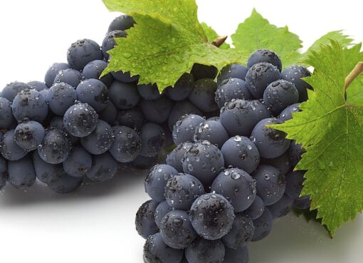 black grapes