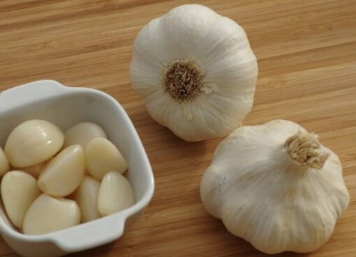 garlic