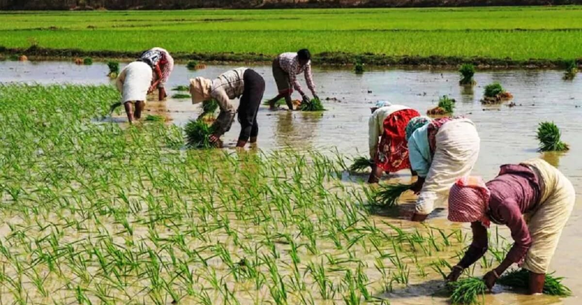 Prime Minister Kisan Yojana