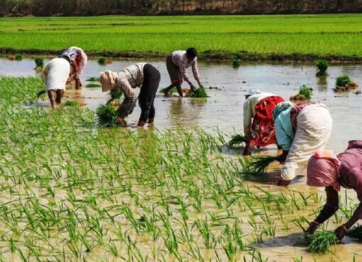 Prime Minister Kisan Yojana